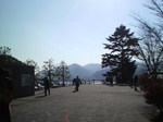 image/2010-11-29T01:16:28-5.jpg